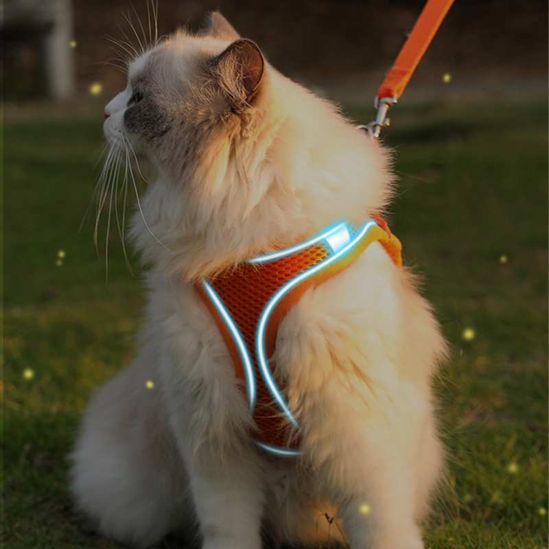 Rompi Kucing Harness Tali Rompi Bernapas Hewan Harness Kucing Tali Tuntun Traksi Reflektif Tali Dengan Harness Rompi Hewan Peliharaan