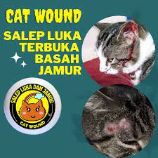 Obat Jamur dan Luka Hewan | Salep Jamur Kucing &amp; Anjing | Obat Luka Kulit Anjing Kucing CAT WOUND