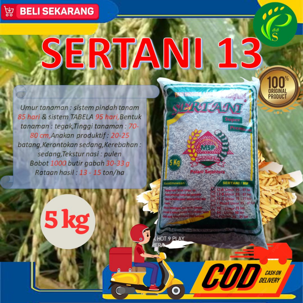 Biji Padi Sertani 13 Kemasan 5kg