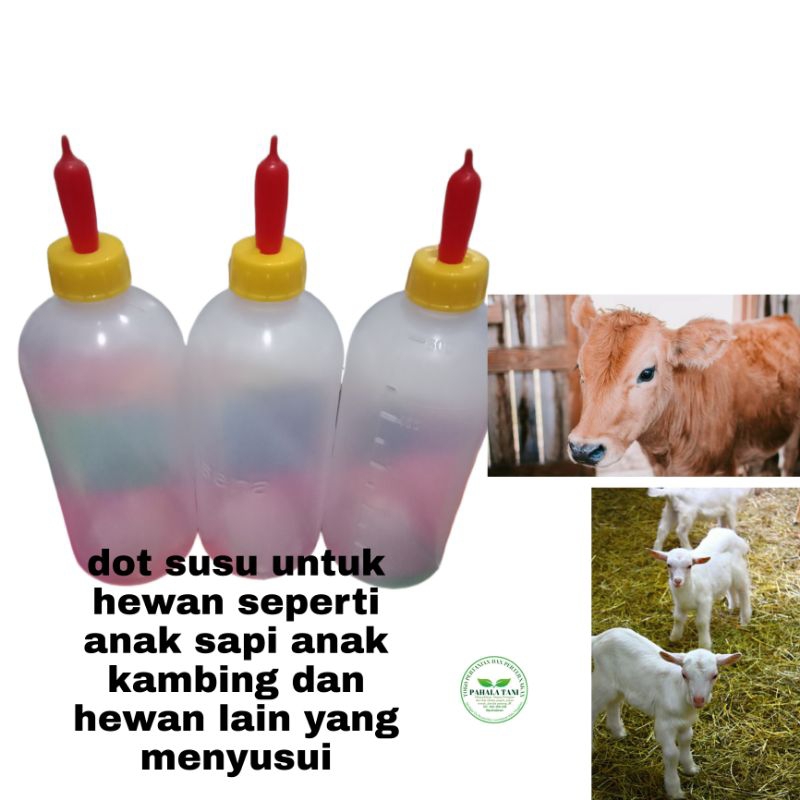 dot hewan/dot anak sapi/dot anak kambing/empeng anak sapi/empeng anak kambing/domba