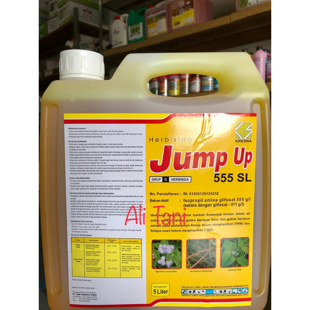 JUMP UP 555 SL Kemasan 5 Liter Herbisida Sistemik/Racun Rumput