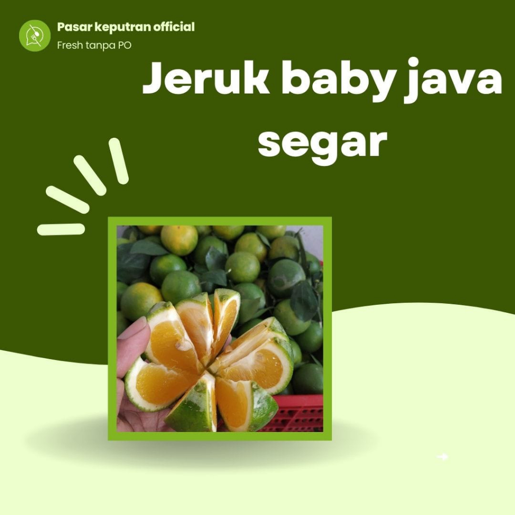 

Jeruk baby java, jeruk baby java segar