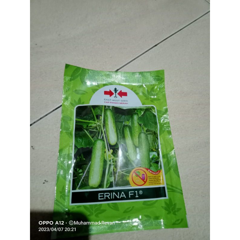 Benih timun lalap erina F1 800 butir timun tanah merah