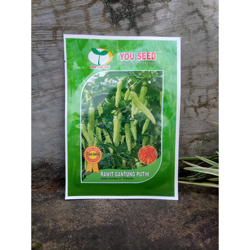Benih Cabe Rawit Gantung Putih 10 gram You Seed