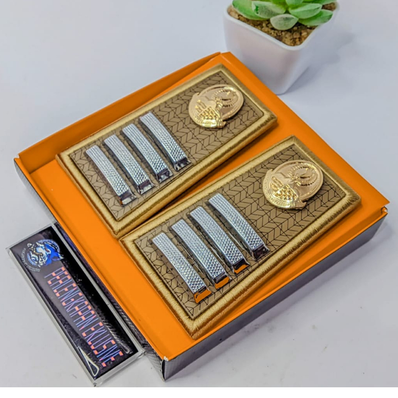 PANGKAT PNS PEMPROV JABAR 2D - PANGKAT PNS JABAR 2D - PANGKAT PNS PEMPROV 2D