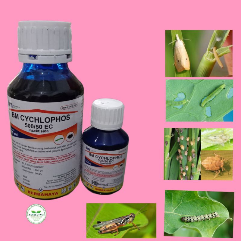 BM CYCHLOPHOS 500 EC/insektisida/hama ulat/ulat grayak/hama belalang/hama wereng/penggerek batang/po