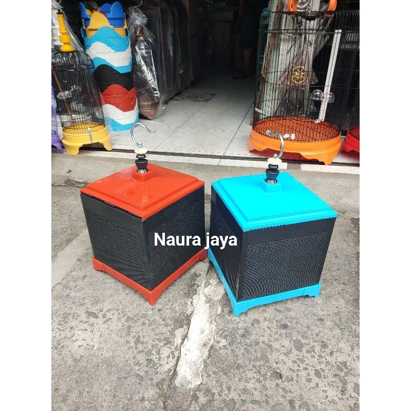 Kandang Jangkrik Plastik Jumbo