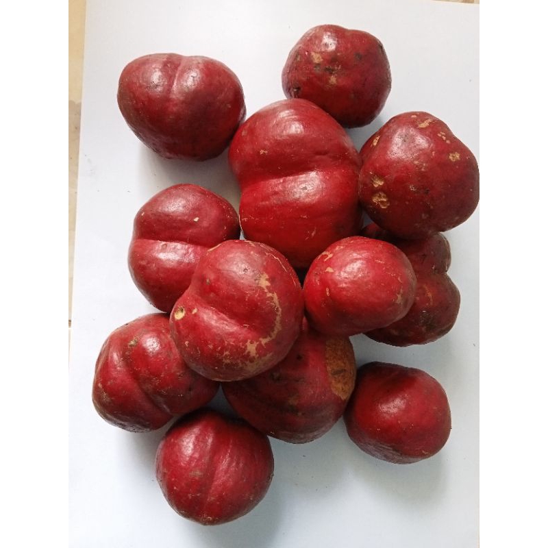 

Buah mahkota dewa segar 500 gr