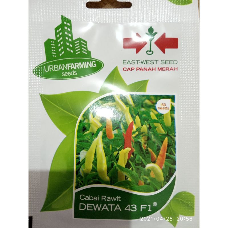 Benih Cabai rawit Dewata