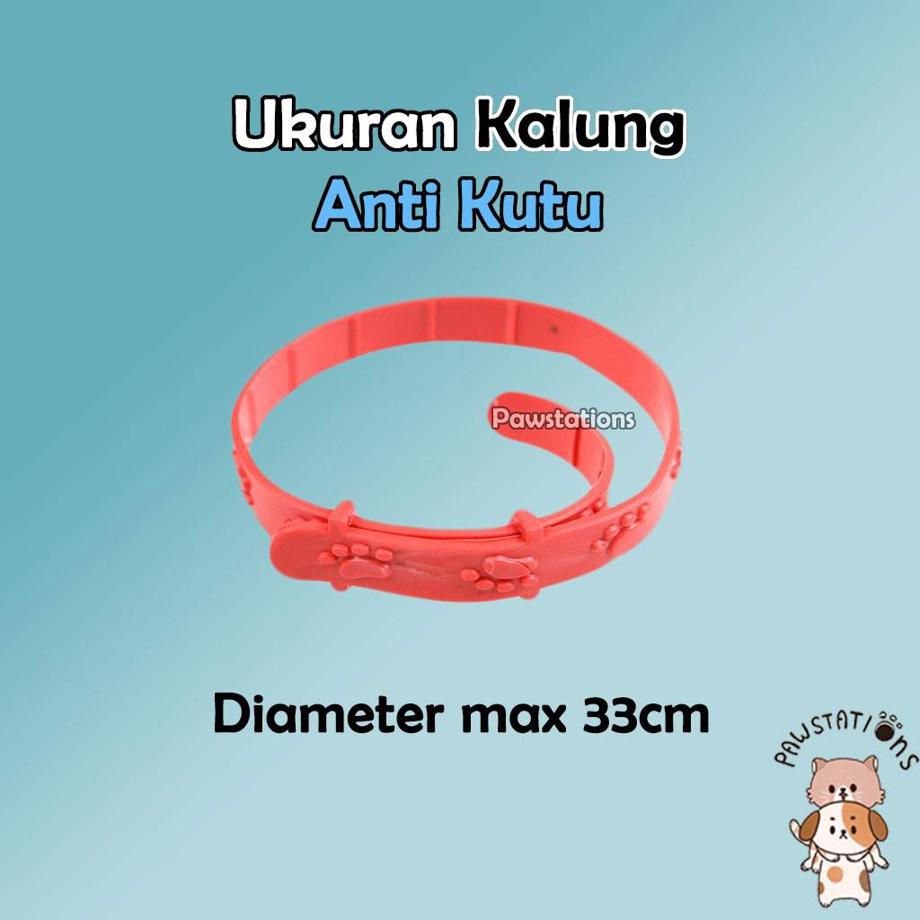 Kalung Anti Kutu Kalung Kucing Anti Kutu Kalung Anjing Anti Kutu