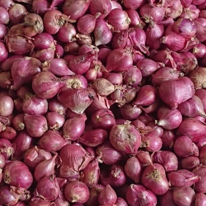 

Bawang merah Fresh Bandung