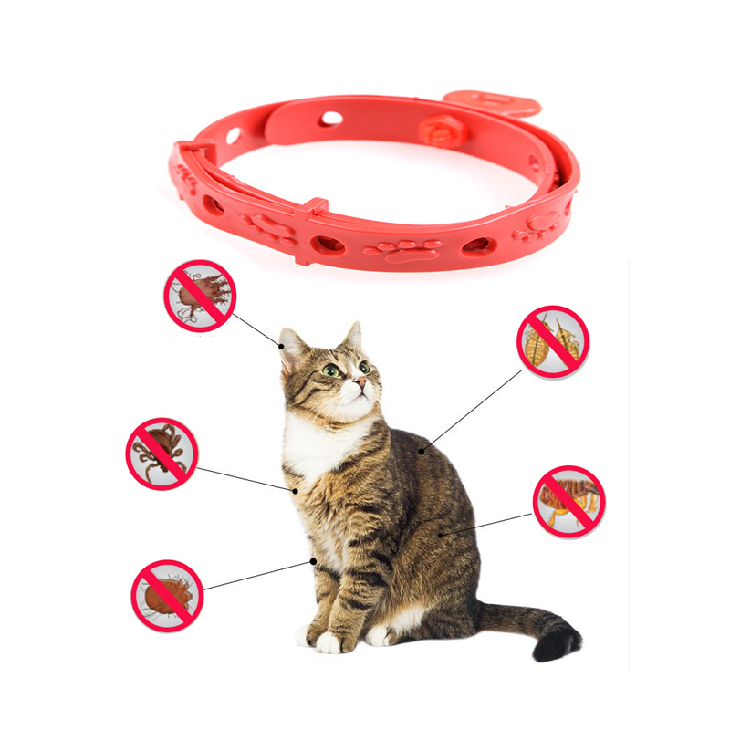 Kalung Kucing Anjing Anti Kutu Kalung Anti Nyamuk Kalung Kutu Kucing No Flea