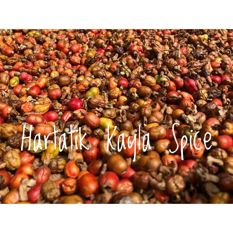 

Biji Laja Dominan Merah Bersih Tampih 1KG