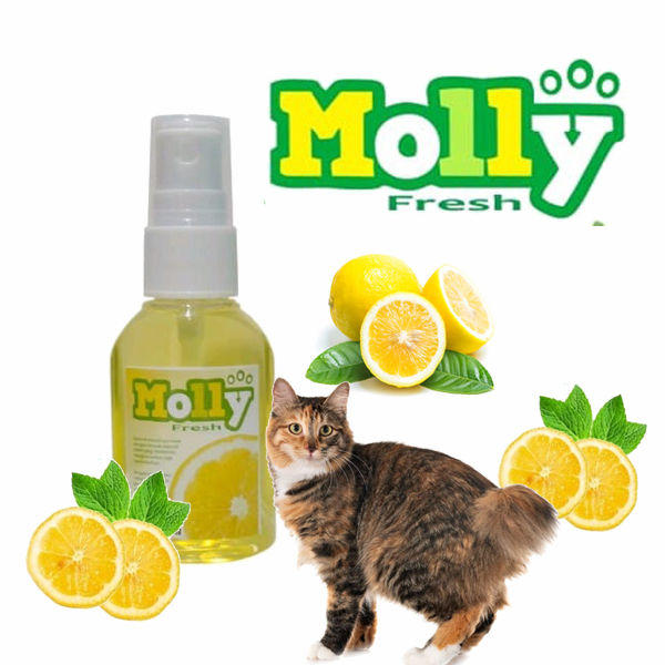 Parfum Kucing Anti Bakteri Anti Jamur 30ml Aroma Lemon Anggur Apel Bubble Gum