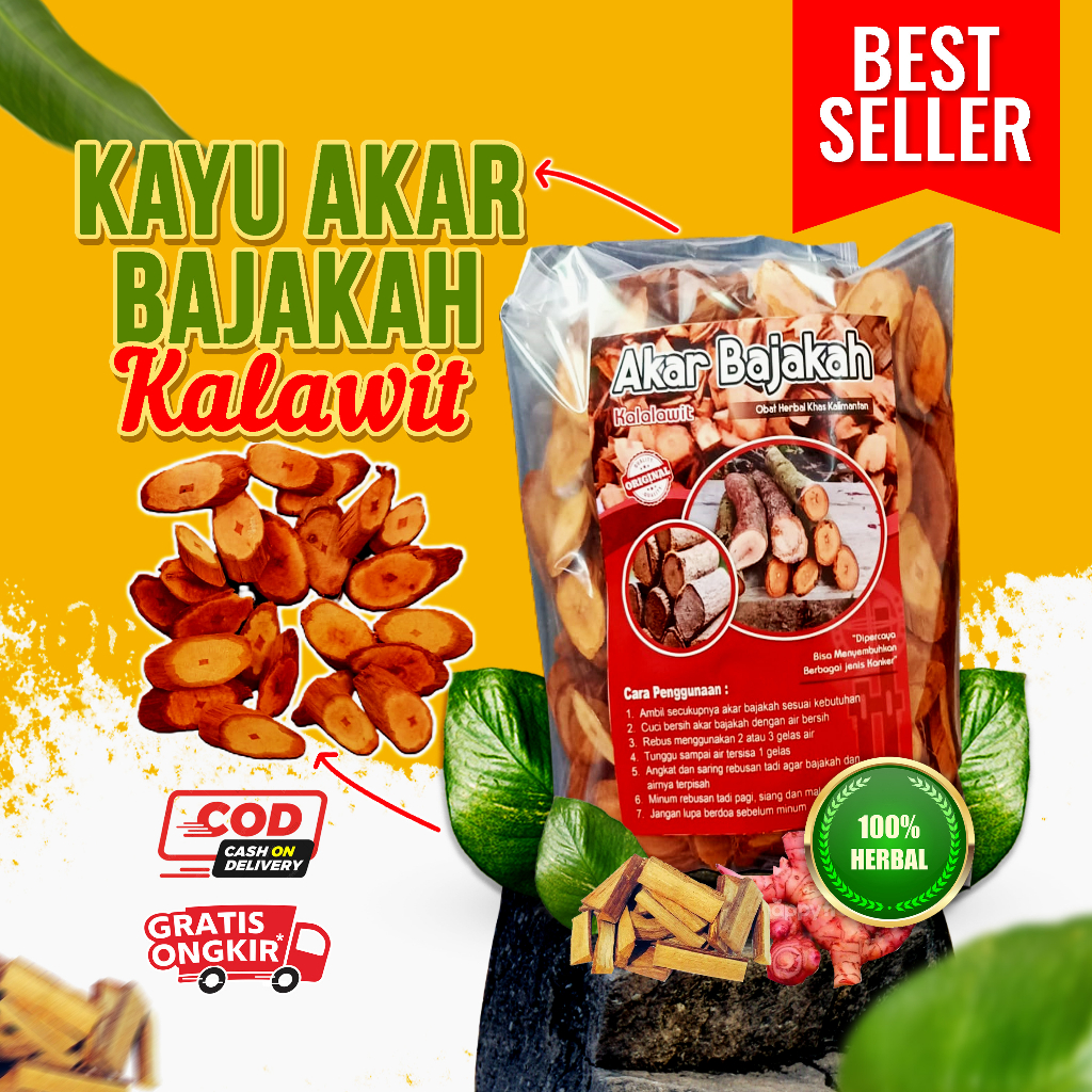 

Akar Kayu Bajakah (Kalawit) Asli Kalimantan / Kayu Bajakah Asli Borneo Kalimantan / Akar Kayu Bajakah Asli Kalimantan /Kayu Bajaka