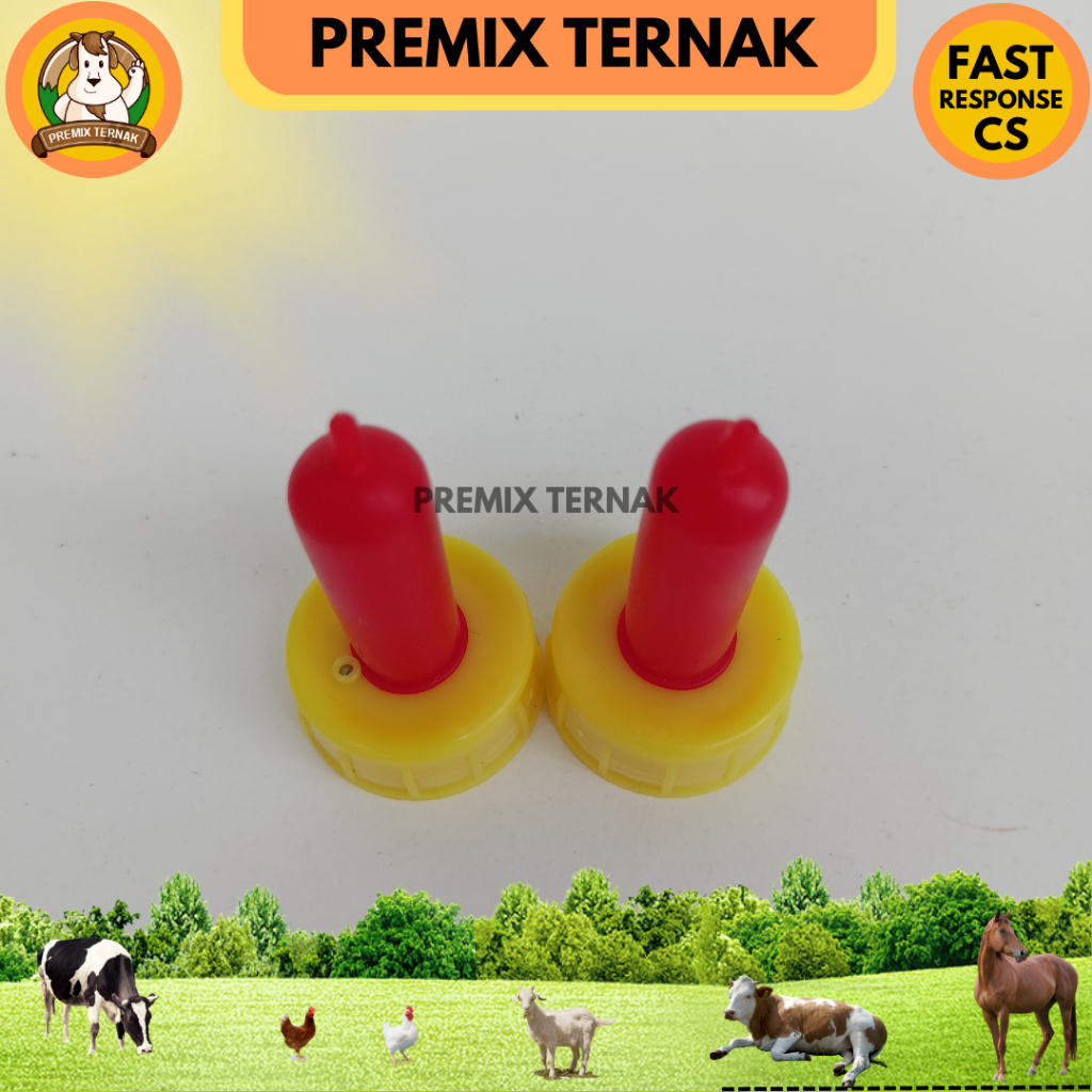 DOT KAMBING MERAH KUNING - DOT CEMPE - DOT ANAK KAMBING