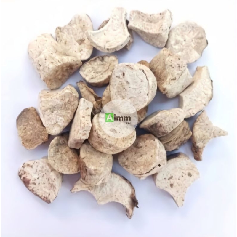 

KELADI TIKUS KERING - SIMPLISIA KELADI TIKUS - 100 GRAM