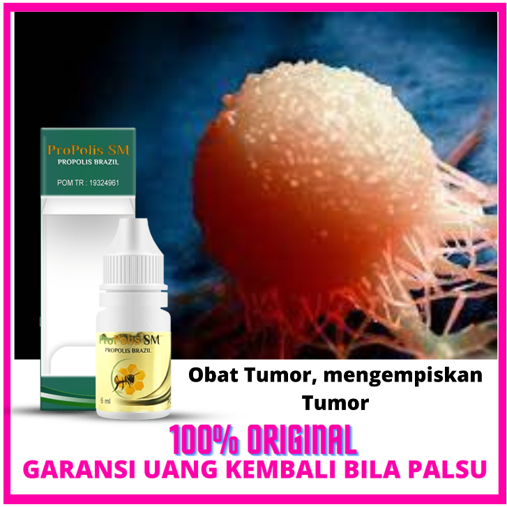 Obat Tumor,Obat Tumor Jinak,Mengempiskan Tumor- PROPOLIS SM BRAZIL Obat Herbal Alami Asli 100% Origi