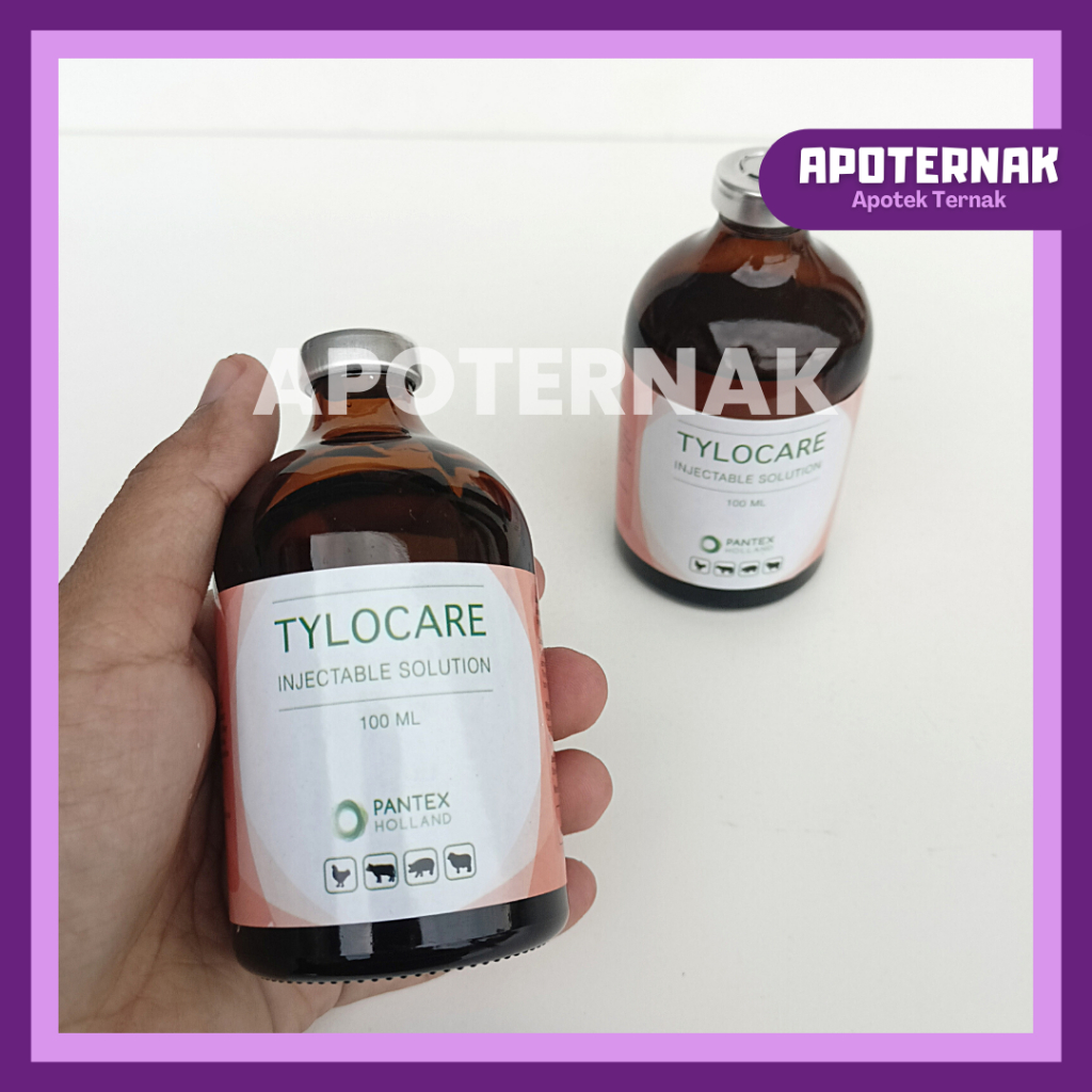 TYLOCARE (Tylosin Injeksi) 100 ml | Antibiotik Obat Infeksi Saluran Pernapasan | Pantex Holland | Pantex Holland Tylocare