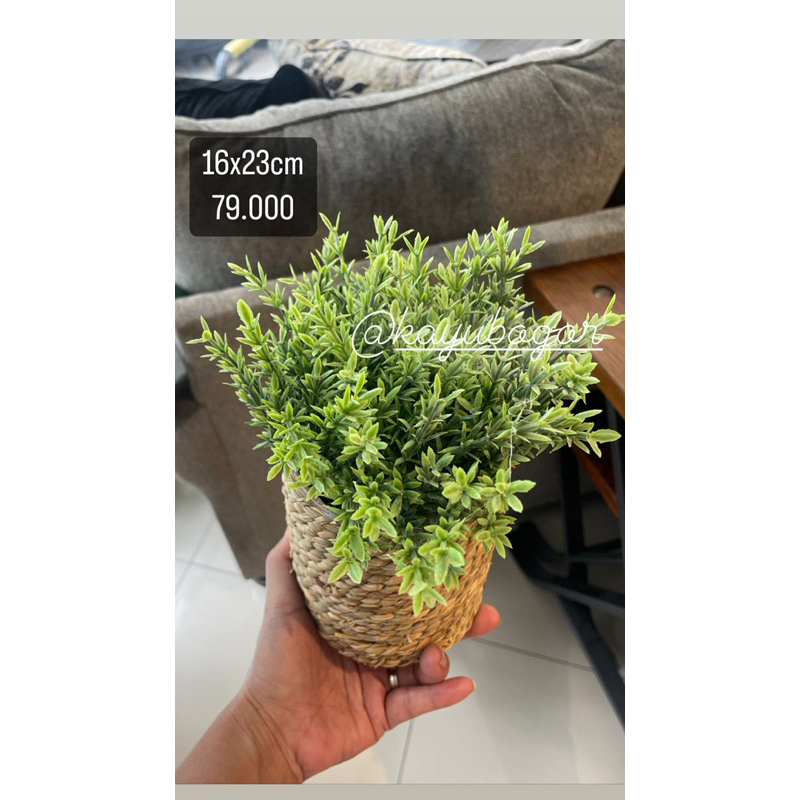 tanaman Artificial Informa