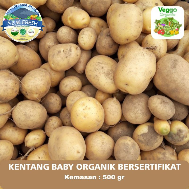 

Kentang Bulat Baby Organik