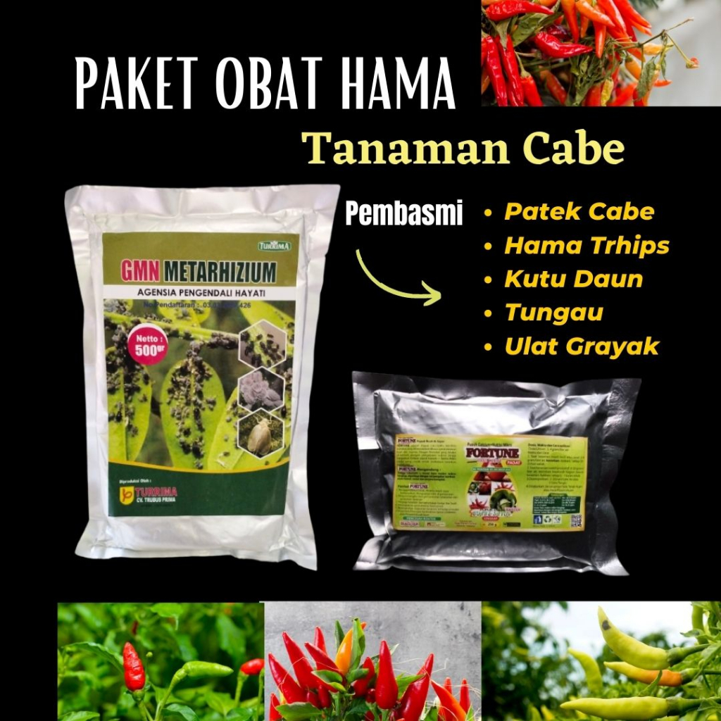 Obat Hama Cabai Paket Pembasmi Hama Cabai dan Kutu Putih untuk Tanaman Cabe Rawit Paling Ampuh, Pemb