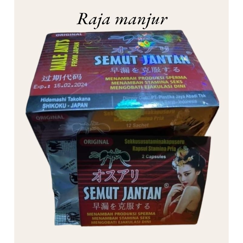 semut jantan