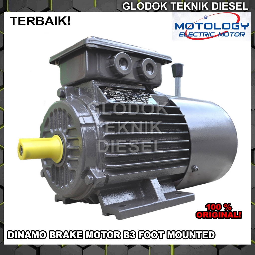 Dinamo Brake Motor B3 25 HP 18 KW 4 POLE 3 PHASE Full Tembaga ORIGINAL Motology Jerman