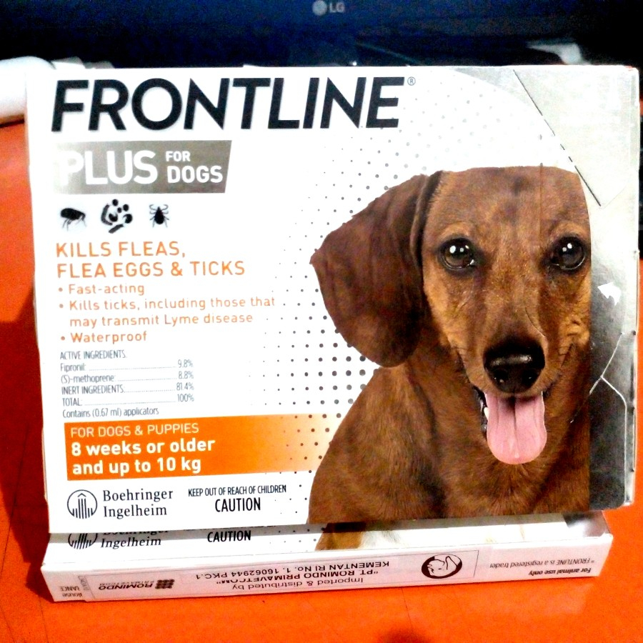 obat tetes kutu anjing frontline dog plus dengan berat badan 8 smpai 10kg 1box 3tube