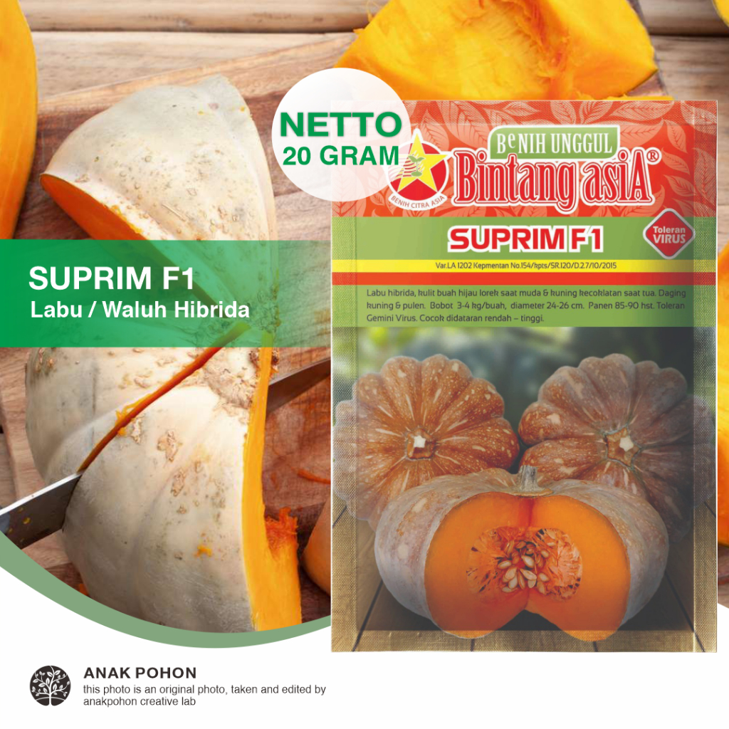 (1 PACK) Benih Labu SUPRIM F1 Hibrida Labu Parang Kuning Pulen Seeds - Bintang Asia - 20 GRAM