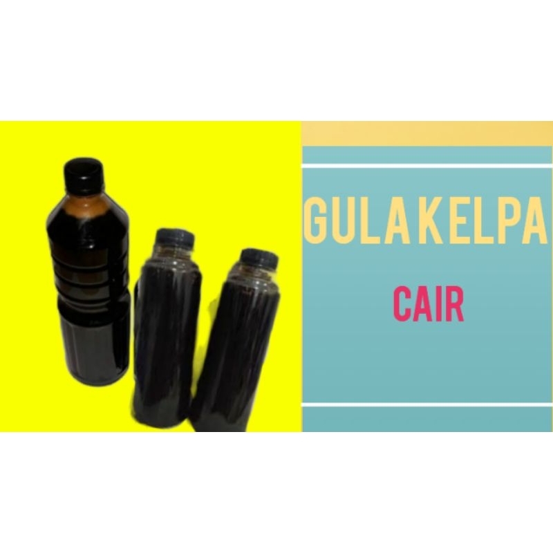 

GULA KELPA CAIR