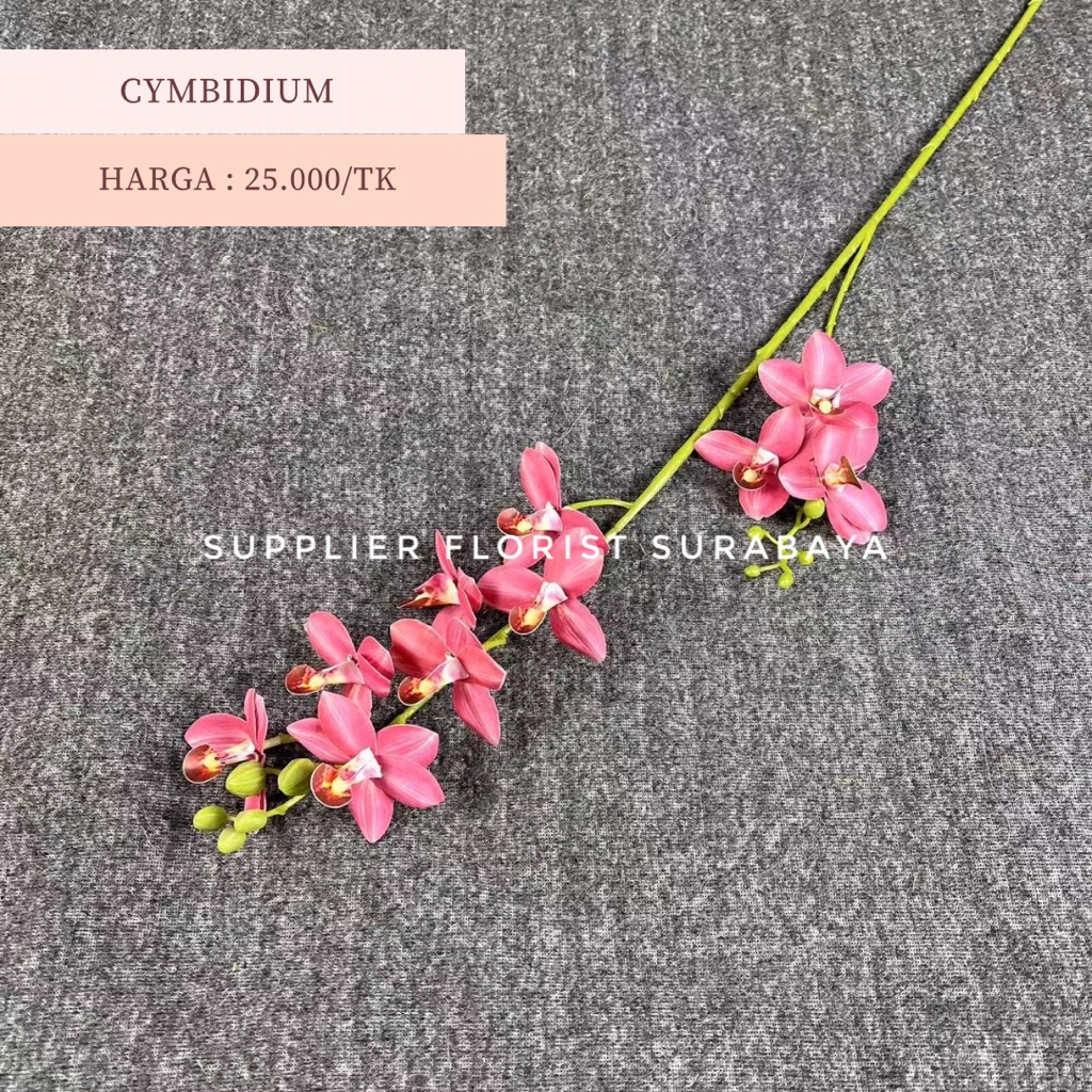 [10 KEPALA] BUNGA PALSU ANGGREK CYMBIDIUM KECIL BAHAN LATEX REAL TOUCH ARTIFICIAL FLOWER BUNGA HIAS PAJANGAN DEKORASI DECORATION DESIGN DESAIN WEDDING FLOWER FLORIST DIY ORCHID CABANG 2