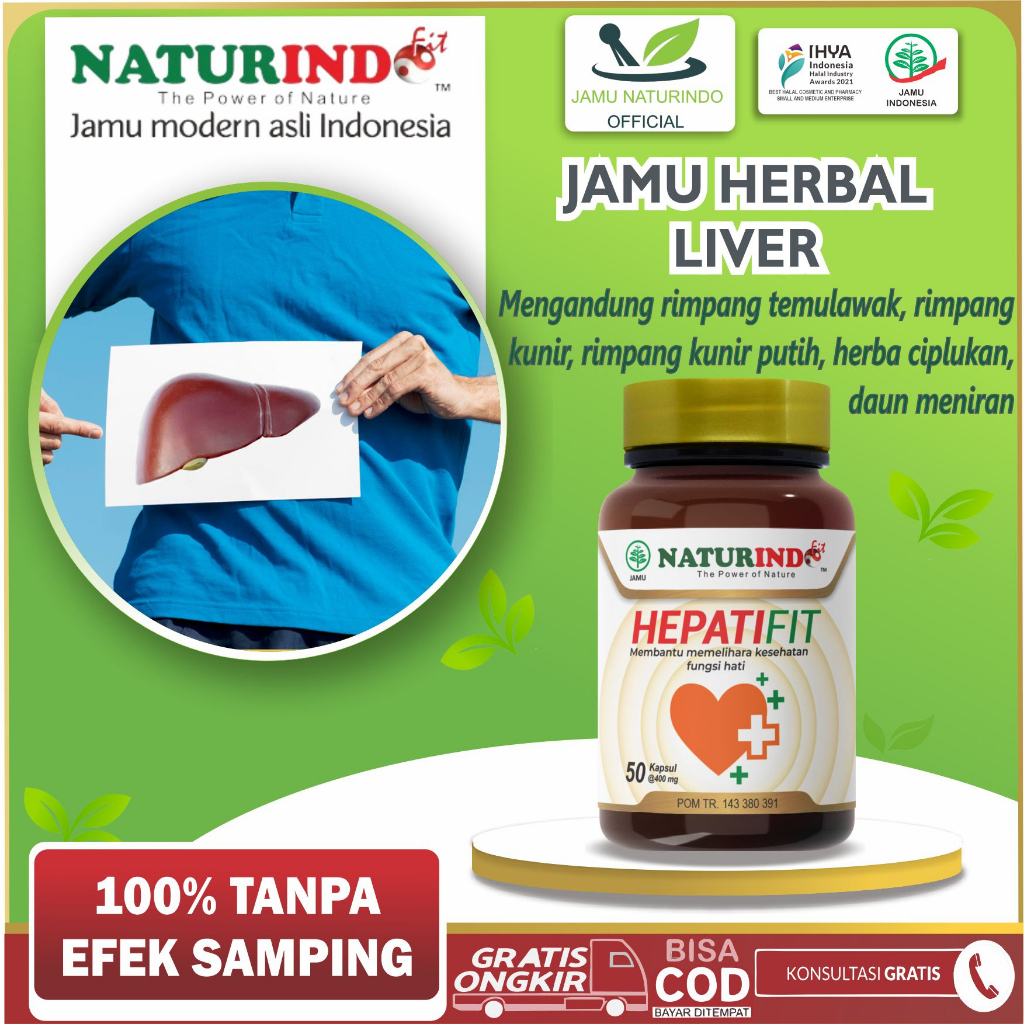 Obat Liver Batu Empedu Herbal Hepatifit Naturindo