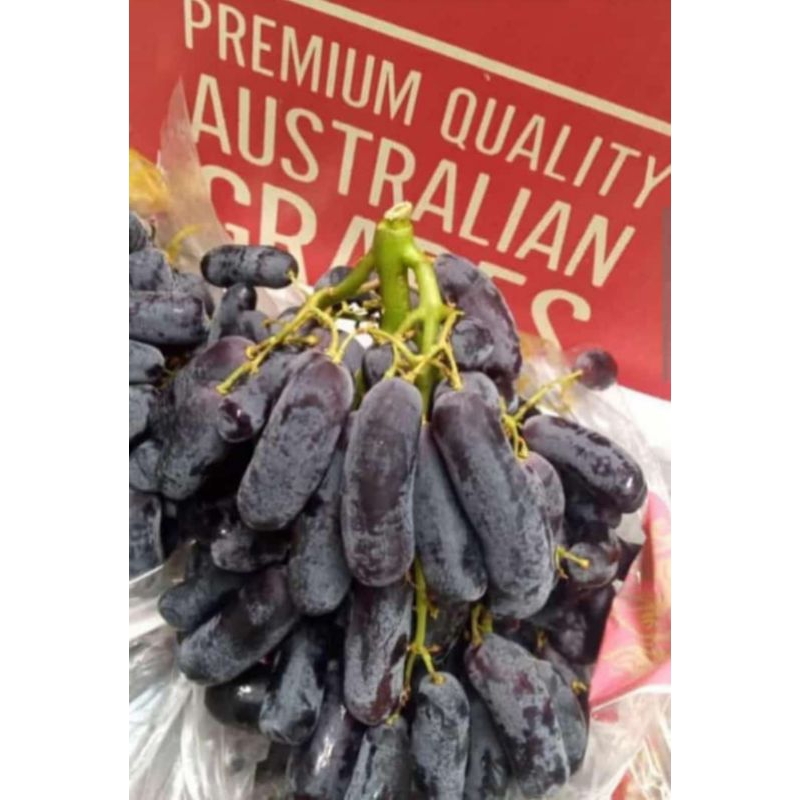 

Anggur Moondrop Sapphire / 1 Box / +/- 9kg