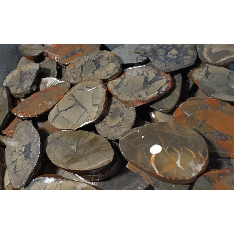 BAHAN NATURAL ROUGH SISIK NAGA SULSEL ENREKANG / BATU AKIK MOTIF GAMBAR