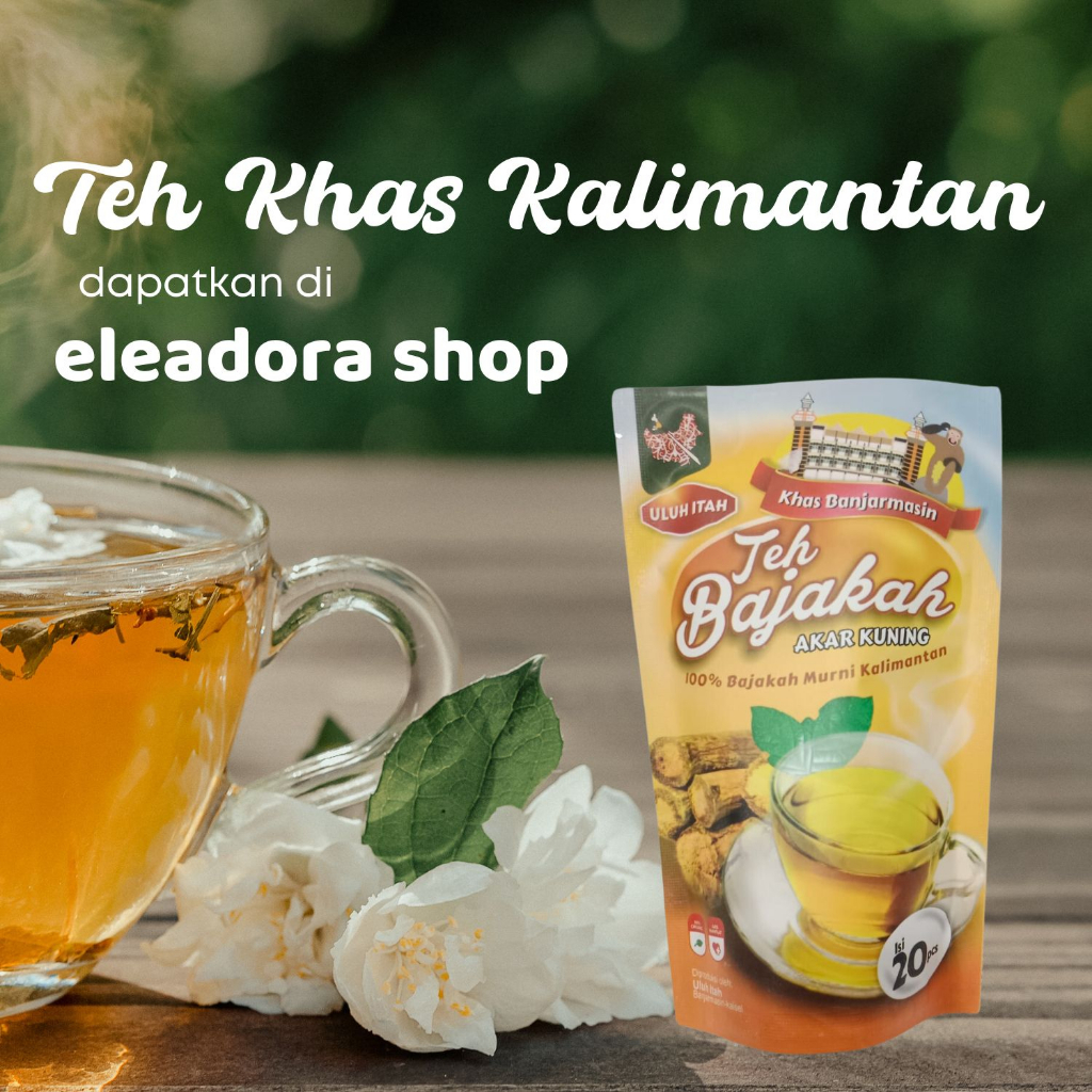 

Teh Bajakah Akar Kuning Uluh Itah - Teh Celup Bajakah Akar Kuning Asli Kalimantan