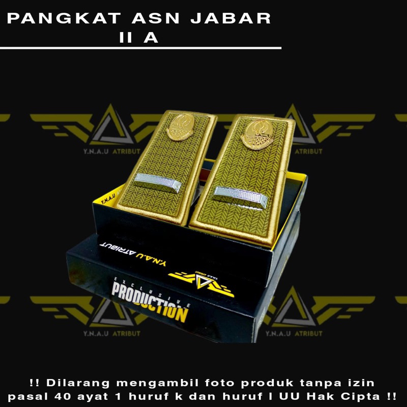 PANGKAT ASN JABAR 2A EXCLUSIVE