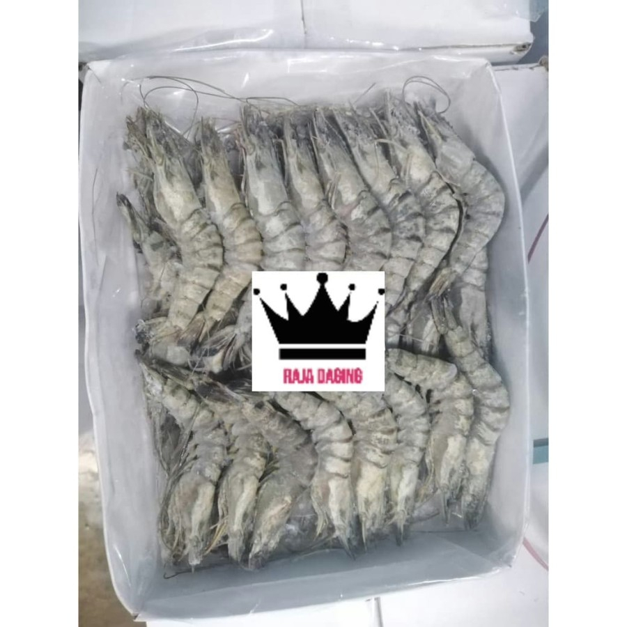 

UDANG BLACK TIGER / UDANG TIGER PRAWN @1Kg - SUPERR BESAR DAN FRESH!!!