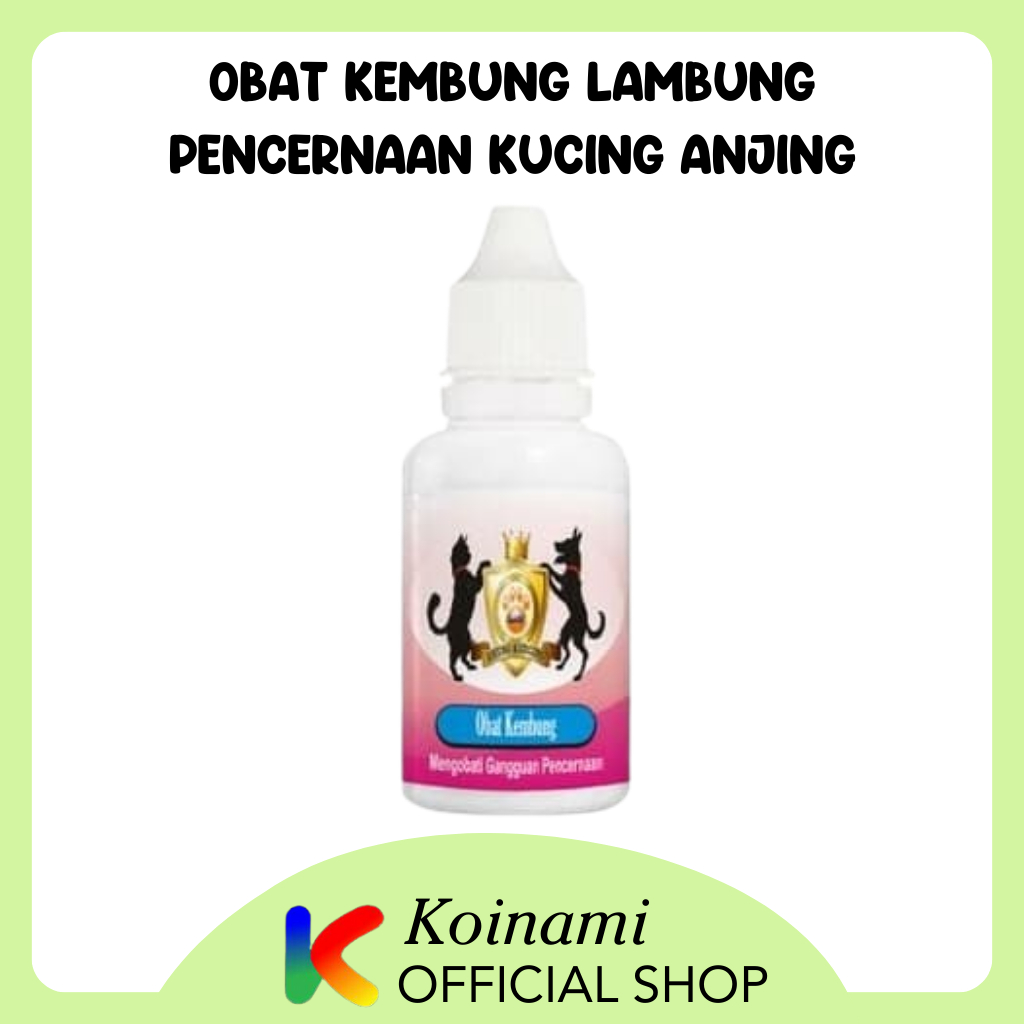 OBAT KEMBUNG LAMBUNG PENCERNAAN UNTUK KUCING ANJING / RAID ALL