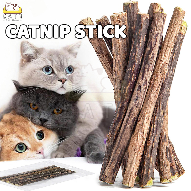 CATNIP Molar STICK MATABI - Catnip Snack Makanan Kucing Kitten Catnip Stick