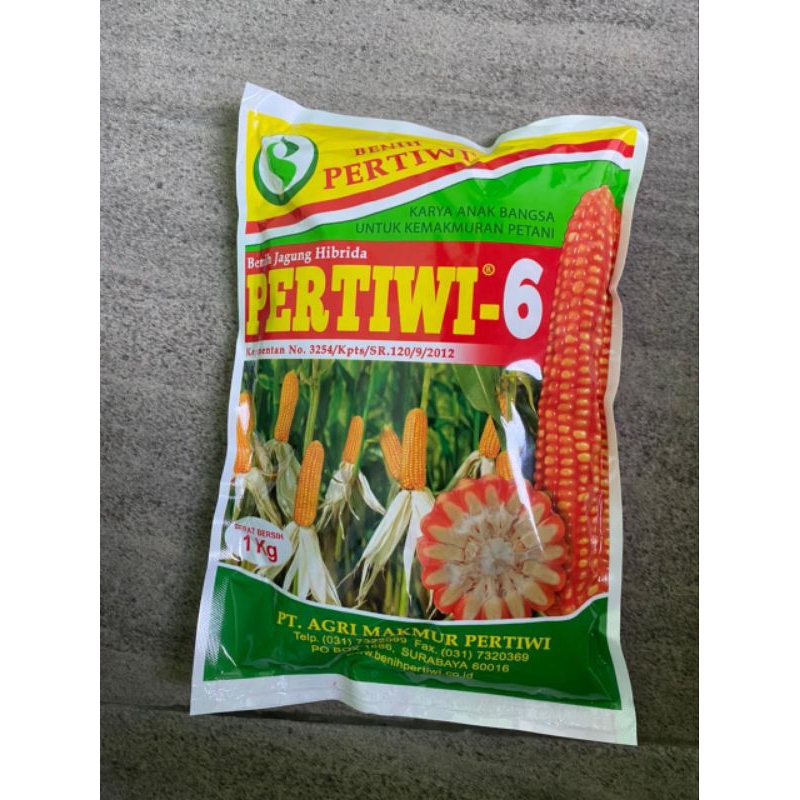 Jagung Pertiwi 6