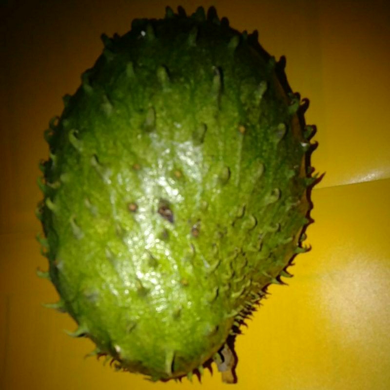 

BUAH SIRSAK RATU SEGAR