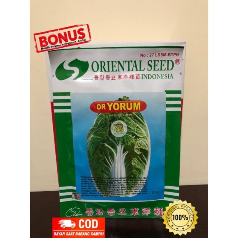Benih Sawi OR Yorum dari Oriental Seed