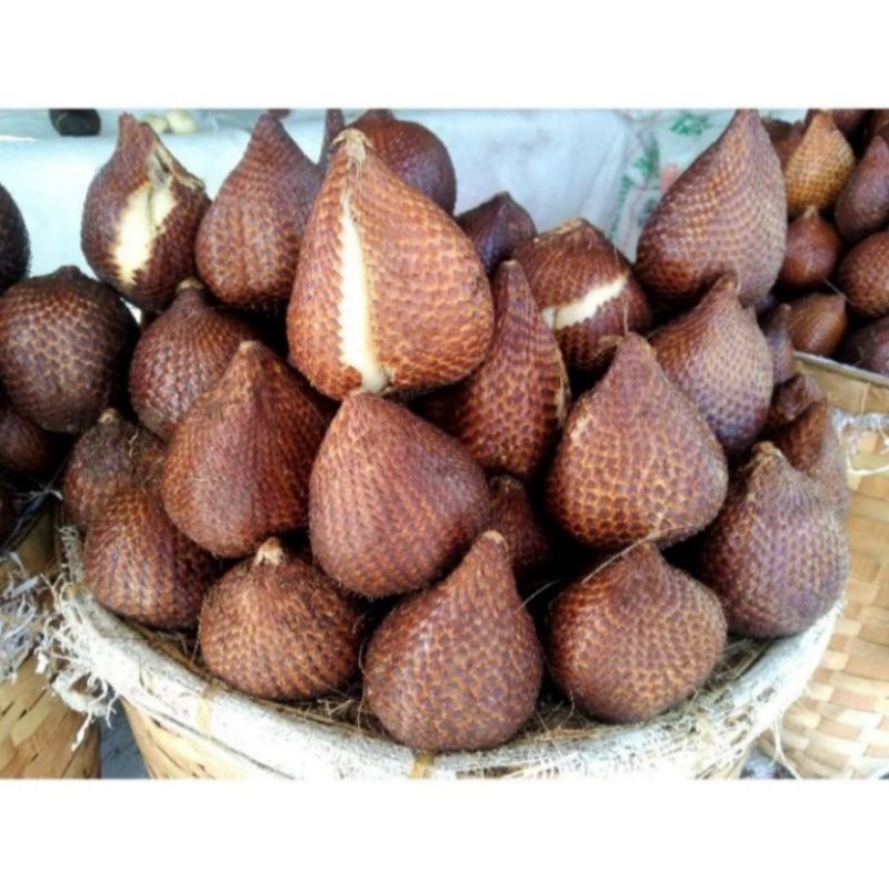 

Salak Sidempuan Sibakua Berat 1 Kg (Pengiriman Medan)