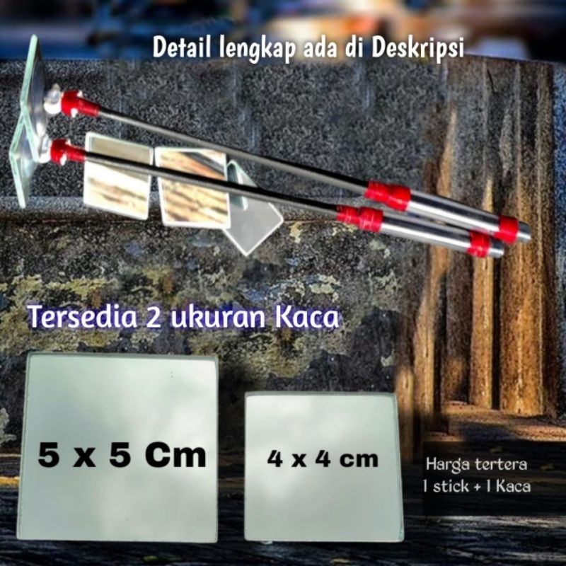Stik Stick Menthal Menthal Cermin untuk melatih Ikan Cupang Chana Kaca Melamin