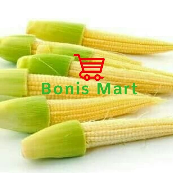 

Jagung Muda Atau Soleng Segar Dan Fress.