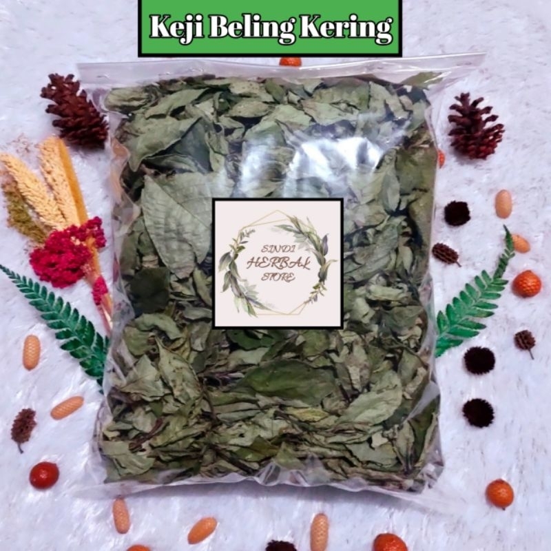 

Daun Keji Beling Kering 250 Gram Organik