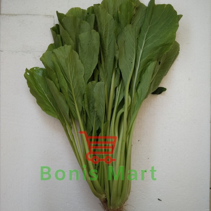 

Daun Sawi Hijau | Sawi Hijau Segar Dan Fress.