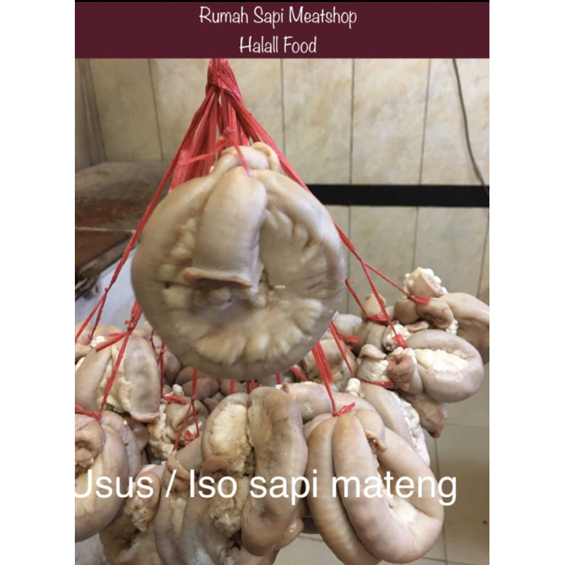 

USUS SAPI/ISO/TAMUSU 1kg isi 9/10pc
