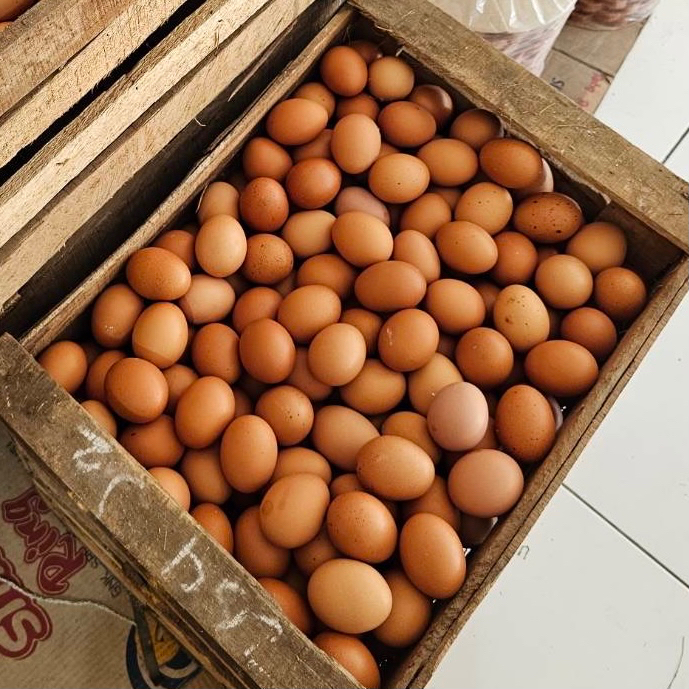 TELUR AYAM NEGERI 1 PETI 10KG FRESH